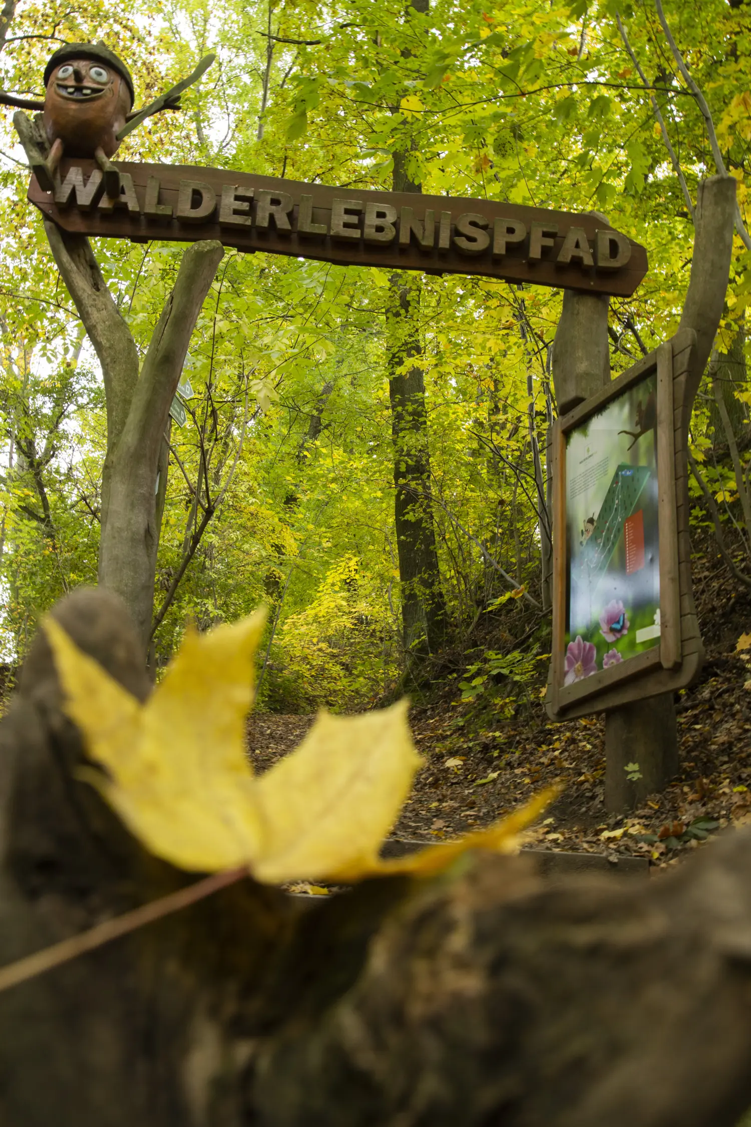 Eingangspforte des Walderlebnispfades oberhalb der Saalfelder Feengrotten